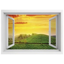 Ventanas 3d paisaje india atardecer en el campo